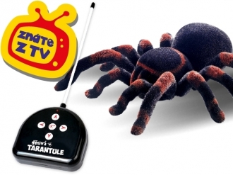 Děsivá tarantule